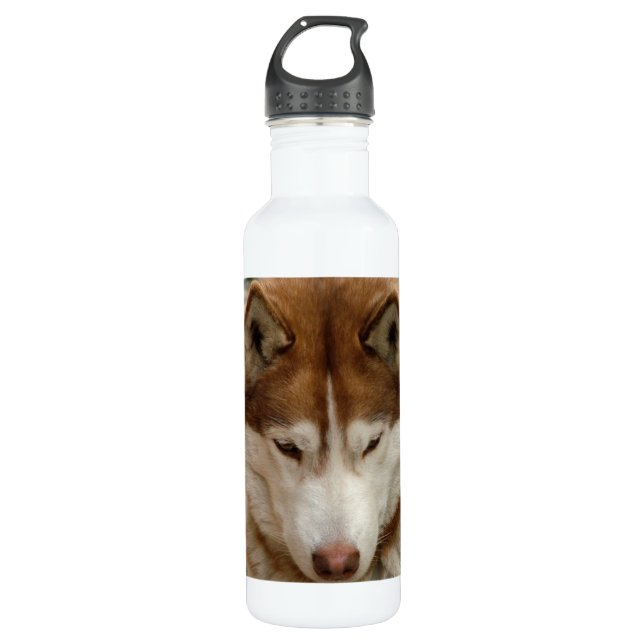 Bouteille D'eau En Acier Inoxydable Chien de traîneau Brown (Devant)