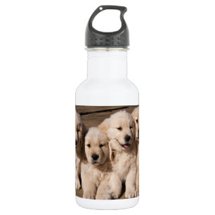 Bouteille D'eau En Acier Inoxydable Chiots doux de golden retriever