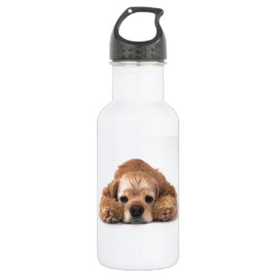 Bouteille D'eau En Acier Inoxydable Cocker mignon