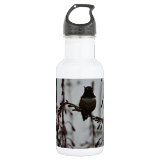 Bouteille D'eau En Acier Inoxydable Colibri au repos