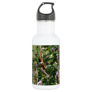Bouteille D'eau En Acier Inoxydable Colibri en pourpre