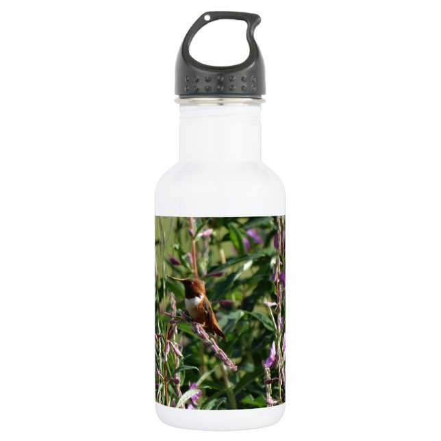 Bouteille D'eau En Acier Inoxydable Colibri en pourpre (Devant)