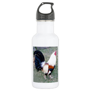 Bouteille D'eau En Acier Inoxydable Coq de baie d'Hawaï Hanauma