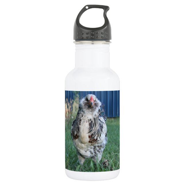 Bouteille D'eau En Acier Inoxydable Coq d'oeuf de Pâques (Devant)
