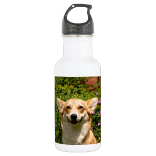 Bouteille D'eau En Acier Inoxydable CORGi