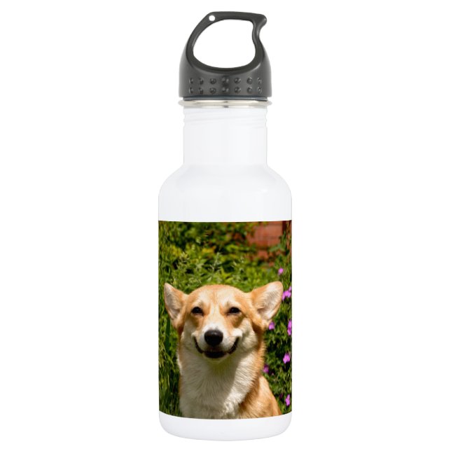 Bouteille D'eau En Acier Inoxydable CORGi (Devant)