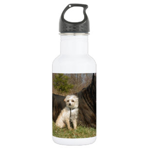 Bouteille D'eau En Acier Inoxydable Couple de chien mignon