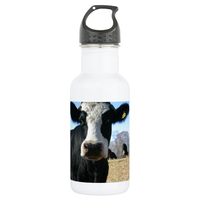 Bouteille D'eau En Acier Inoxydable Crazy Cow (Devant)
