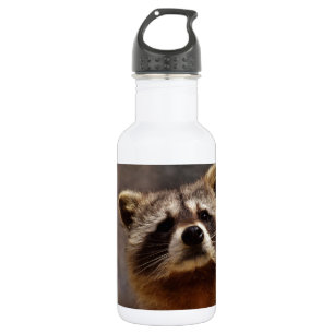 Bouteille D'eau En Acier Inoxydable Curieux Raccoon
