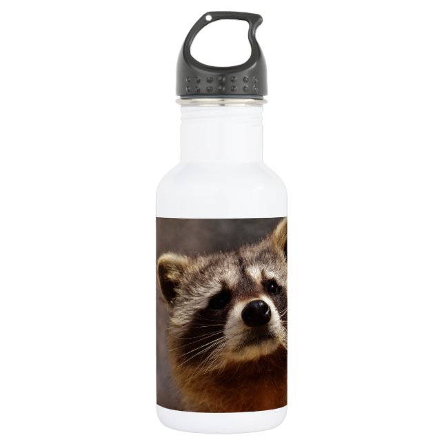 Bouteille D'eau En Acier Inoxydable Curieux Raccoon (Devant)
