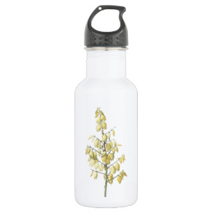Bouteille D'eau En Acier Inoxydable Dagger espagnol (Yucca gloriosa) par Redouté