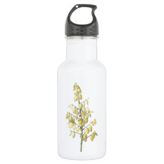 Bouteille D'eau En Acier Inoxydable Dagger espagnol (Yucca gloriosa) par Redouté