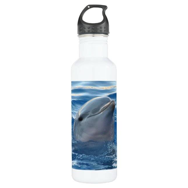 Bouteille D'eau En Acier Inoxydable Dauphin (Devant)