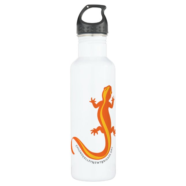 Bouteille d'eau en acier inoxydable de 18 oz CVNB (Devant)