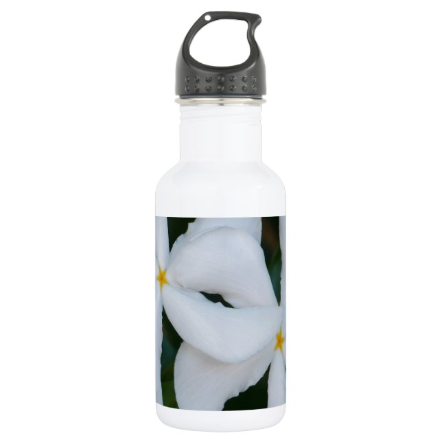 Bouteille D'eau En Acier Inoxydable Embrace.JPG (Devant)
