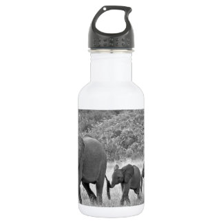 Bouteille D'eau En Acier Inoxydable Famille des éléphants sud-africains