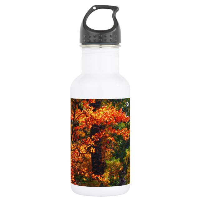 Bouteille D'eau En Acier Inoxydable Feuillage d'automne (Devant)