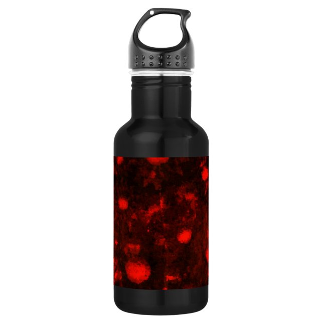 Bouteille D'eau En Acier Inoxydable Fleur rouge - (Devant)