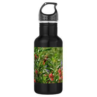 Bouteille D'eau En Acier Inoxydable Fleurs de colibri