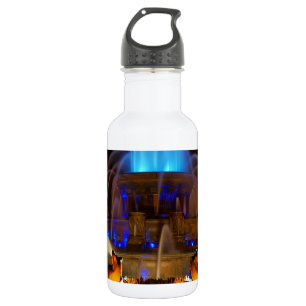 Bouteille D'eau En Acier Inoxydable Fontaine de Buckingham - Blues