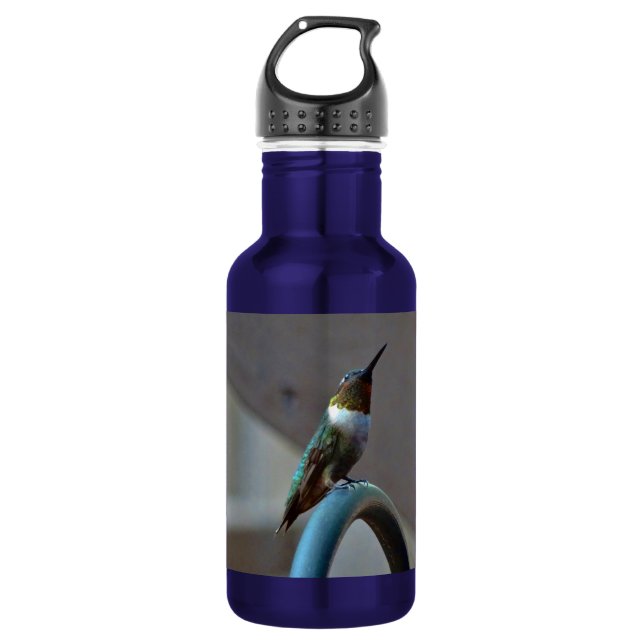 Bouteille D'eau En Acier Inoxydable Green ruby little hummingbird (Devant)