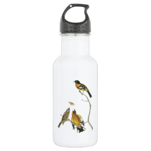 Bouteille D'eau En Acier Inoxydable Grosbeak à tête noire par Audubon
