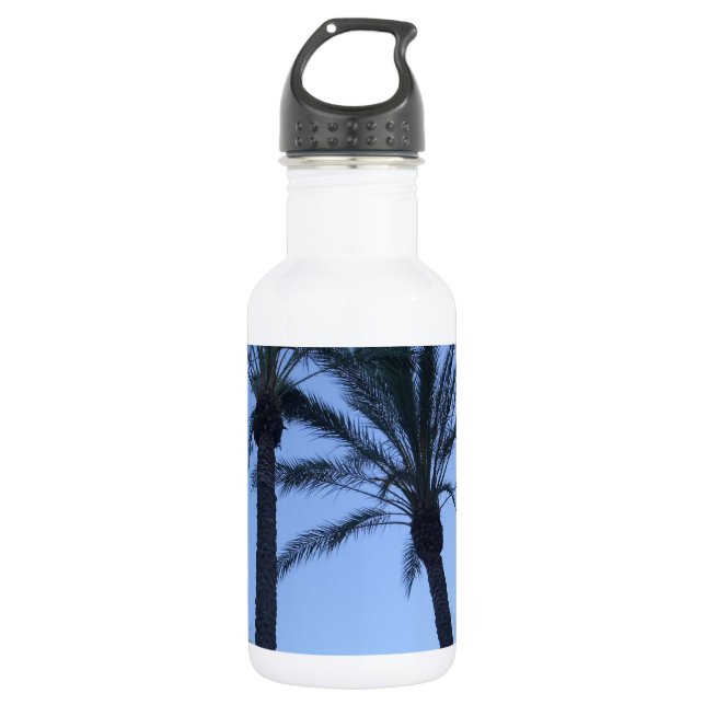 Bouteille D'eau En Acier Inoxydable Impression photo Twin Palm Tree (Devant)