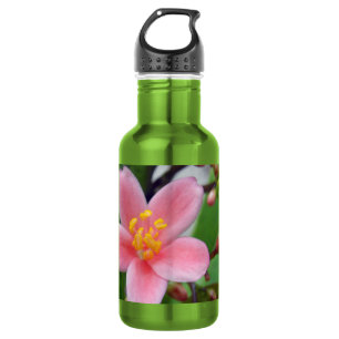 Bouteille D'eau En Acier Inoxydable Jatropha Fleur et bourgeons de fleurs