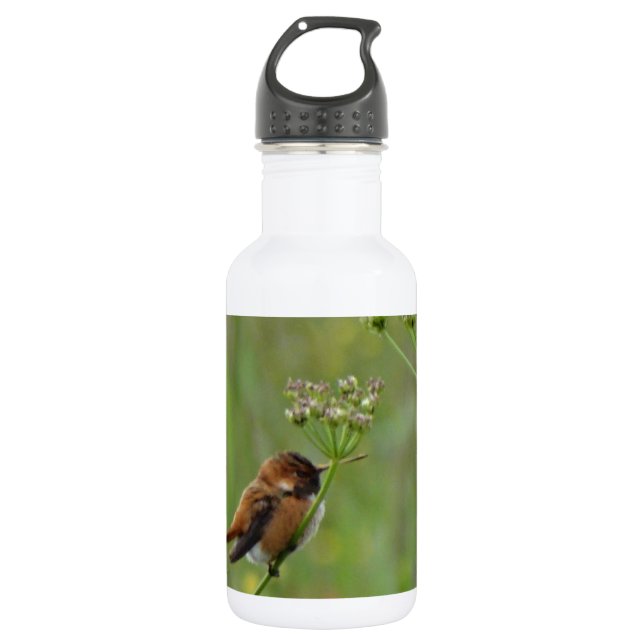 Bouteille D'eau En Acier Inoxydable Joli petit colibri (Devant)