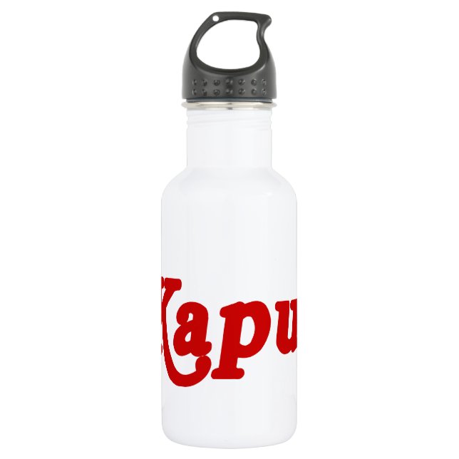 BOUTEILLE D'EAU EN ACIER INOXYDABLE KAPUT ♦ NE FONCTIONNE PAS ♦ (Devant)