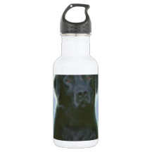 laboratoire noir