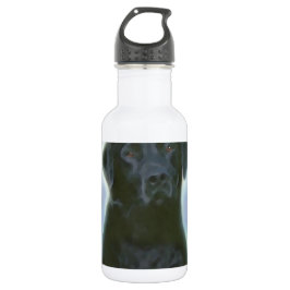 Bouteille D'eau En Acier Inoxydable laboratoire noir