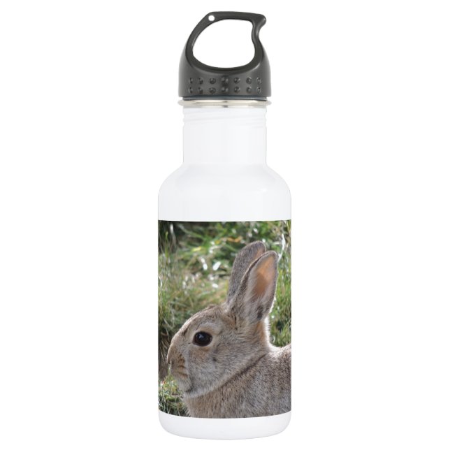Bouteille D'eau En Acier Inoxydable Lapin de lapin (Devant)