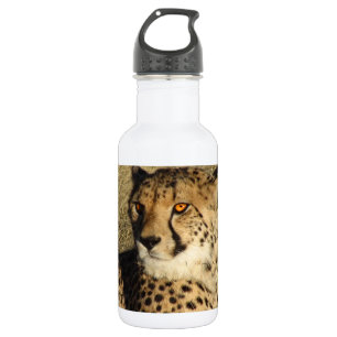 Bouteille D'eau En Acier Inoxydable Le guépard
