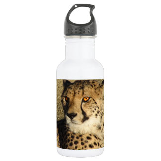Bouteille D'eau En Acier Inoxydable Le guépard
