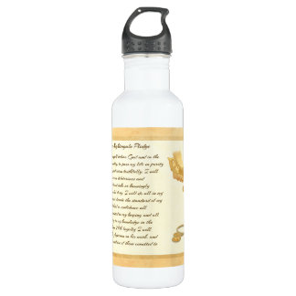 Bouteille D'eau En Acier Inoxydable L'engagement de Florence Nightingale