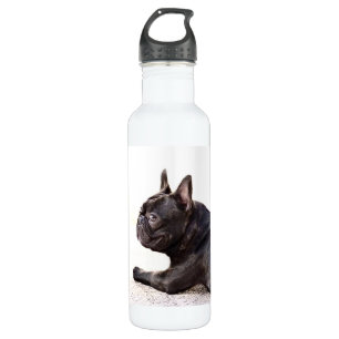 Bouteille D'eau En Acier Inoxydable Liberté de bouledogue français