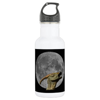 Bouteille D'eau En Acier Inoxydable Lune et Charonosaure