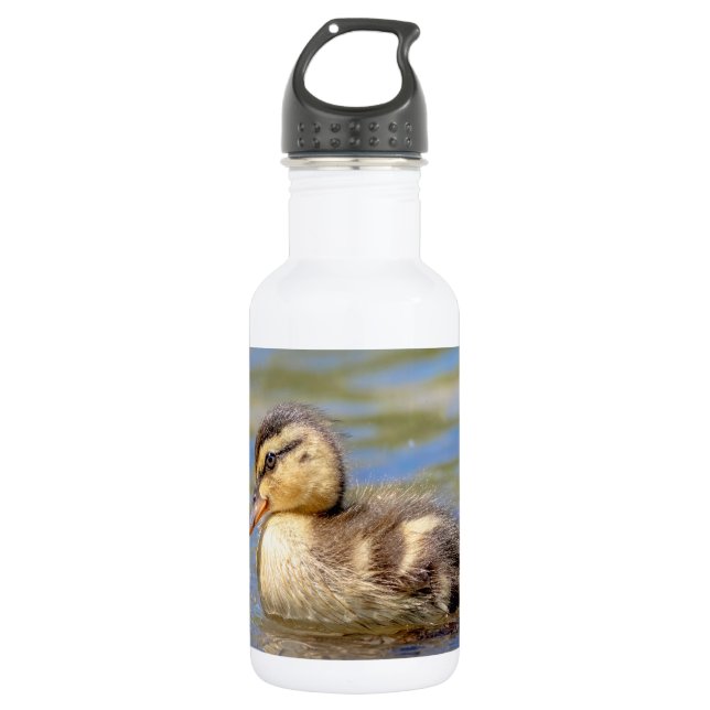 Bouteille D'eau En Acier Inoxydable Mallard Duckling (Devant)
