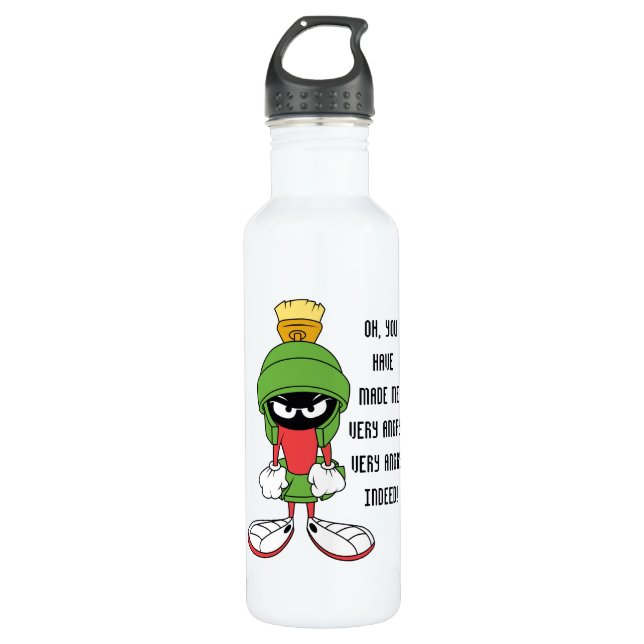 BOUTEILLE D'EAU EN ACIER INOXYDABLE MARVIN LE MARTIAN™ (Devant)