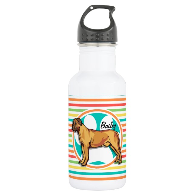 Bouteille D'eau En Acier Inoxydable Mastiff ; Bright Rainbow Stripes (Devant)