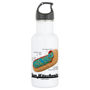 Bouteille D'eau En Acier Inoxydable Mitochondries d'équipe (humour de mitochondrie)