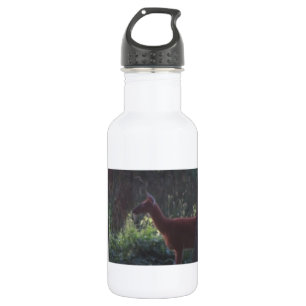 Bouteille D'eau En Acier Inoxydable Natures soif