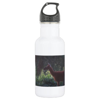 Bouteille D'eau En Acier Inoxydable Natures soif