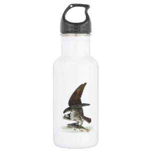 Bouteille D'eau En Acier Inoxydable Osprey par Audubon