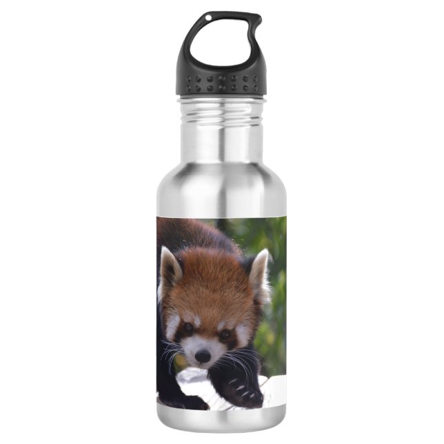 Bouteille D'eau En Acier Inoxydable Panda rouge de vagabondage (Devant)