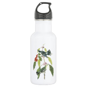 Bouteille D'eau En Acier Inoxydable Paruline de Cérulean par Audubon