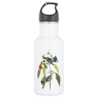 Bouteille D'eau En Acier Inoxydable Paruline de Cérulean par Audubon