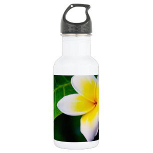 Bouteille D'eau En Acier Inoxydable Photographie de fleurs de plumeria