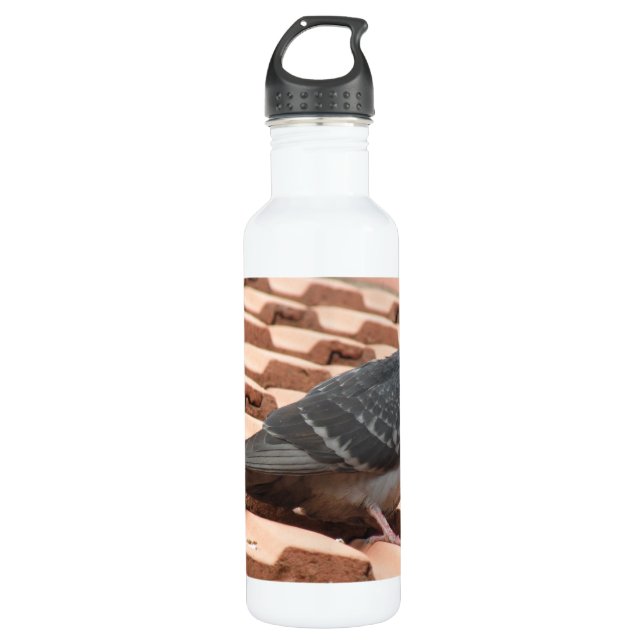 Bouteille D'eau En Acier Inoxydable Pigeon sur le toit (Devant)
